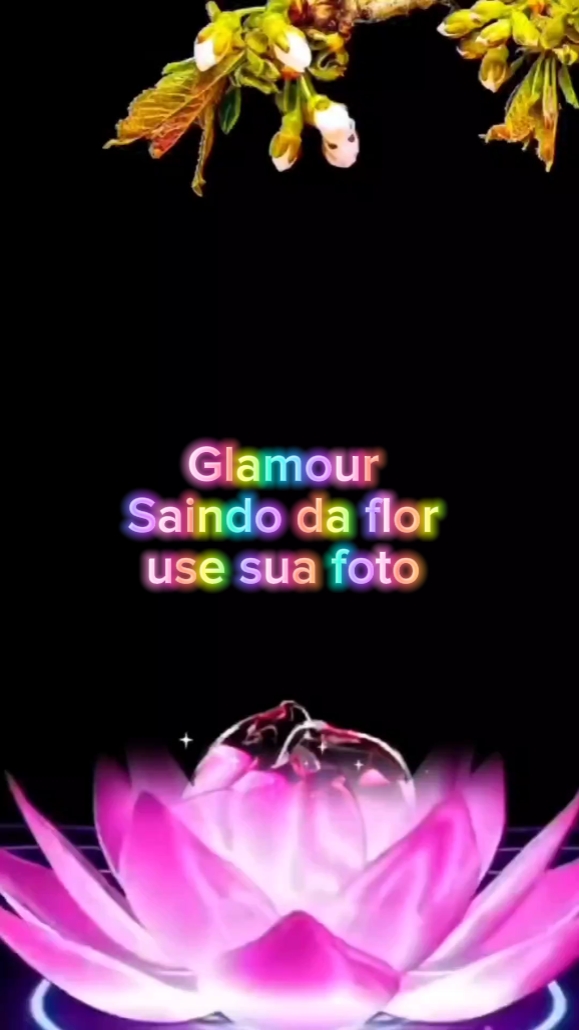 Saindo da flor z7