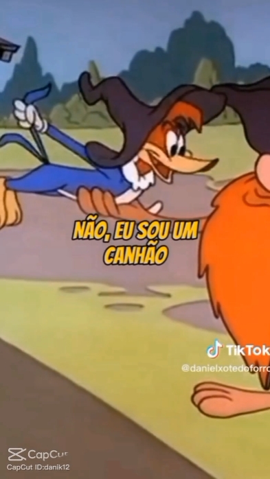 SOU UM CANHÃO 