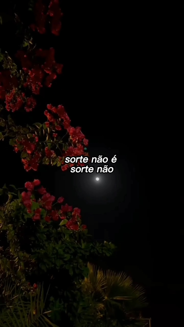 Nunca foi sorte 
