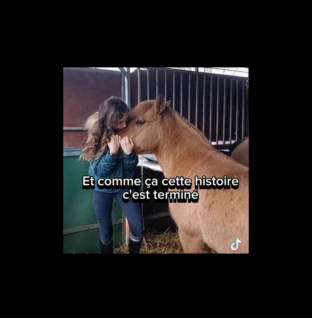 deux histoires ntime