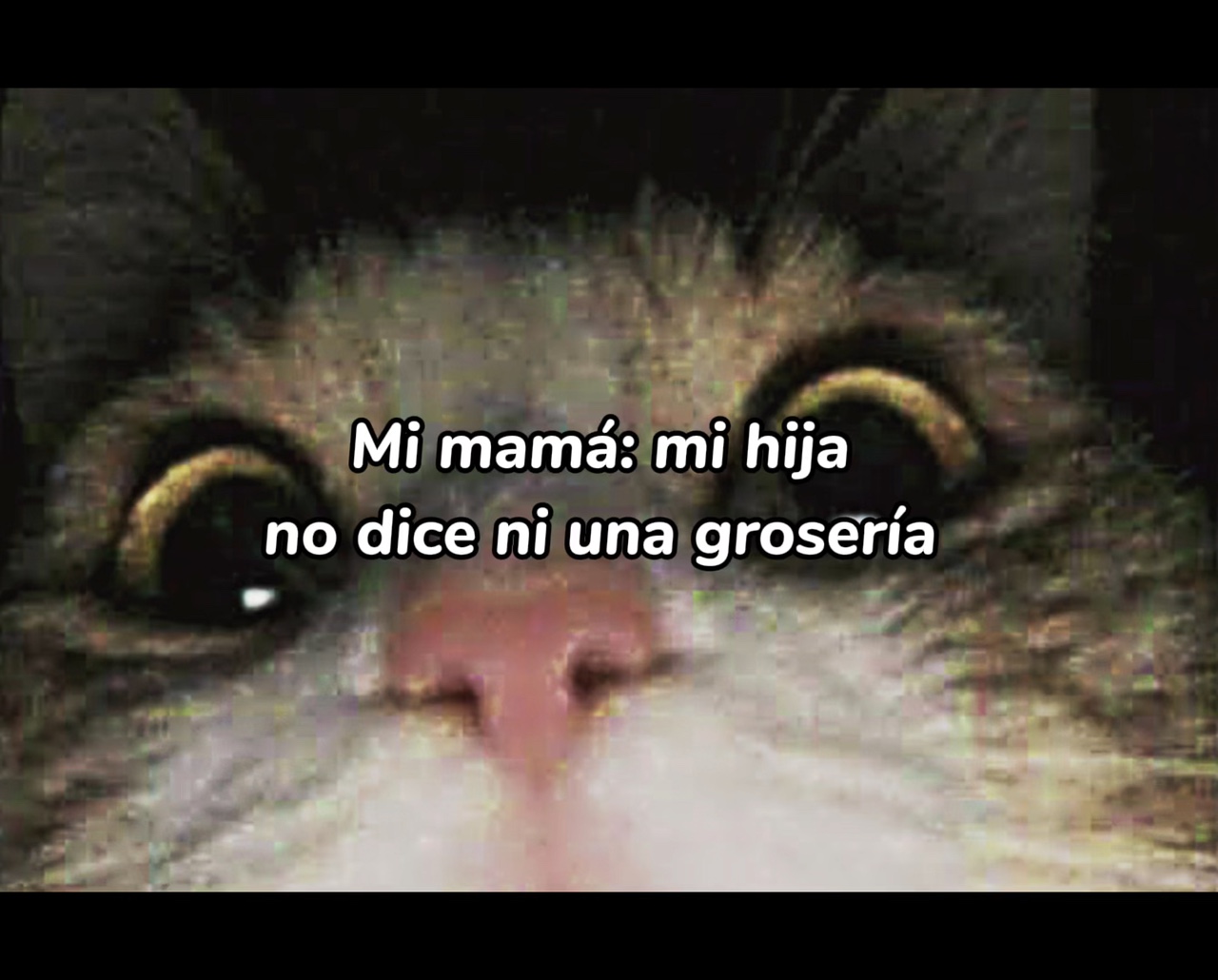 Uy si soy 