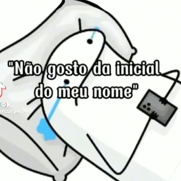 meu primeiro modelo