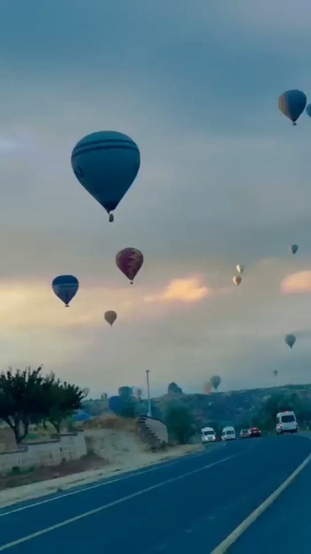 COLOCA SUA FOTO 