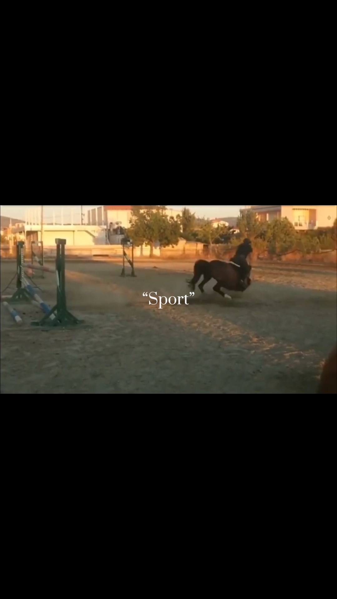 Horse riding edit