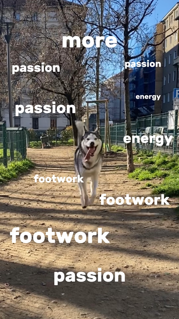 More Energy Pets