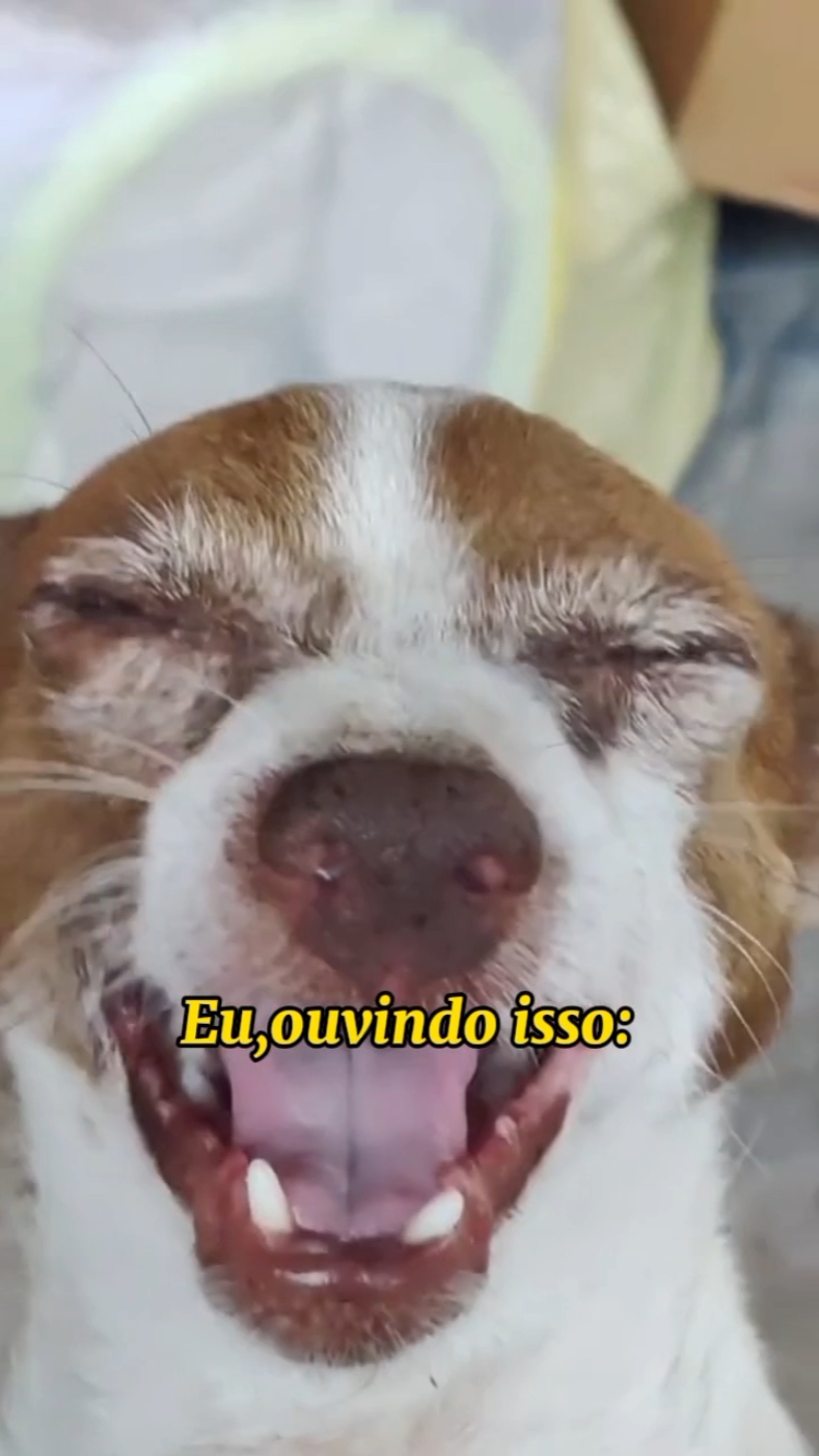 dizem que sou fofa k