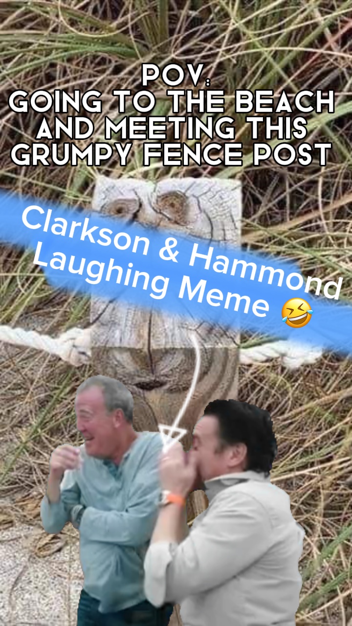 Laughing meme 🤣