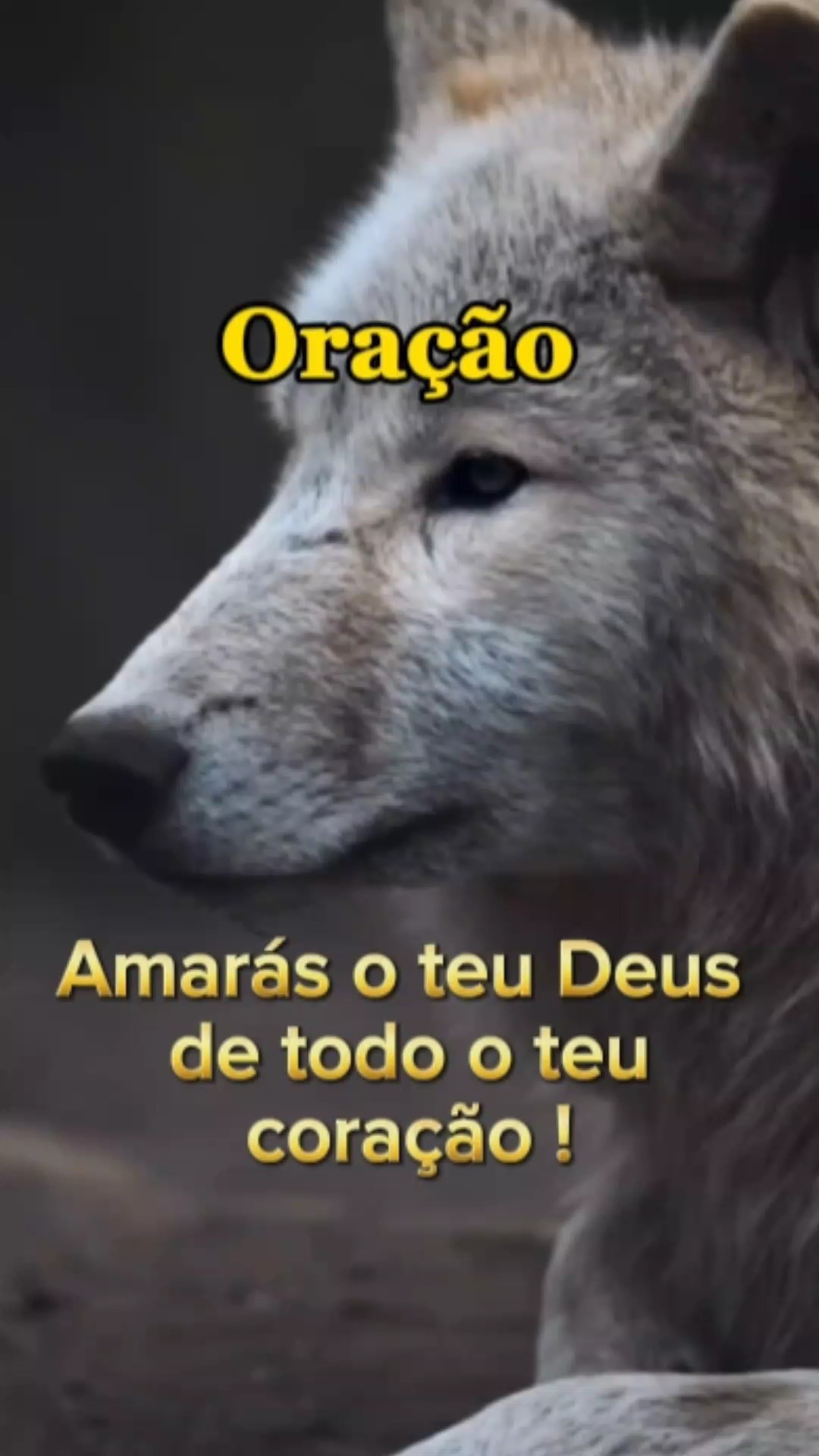 Amarás o teu Deus 