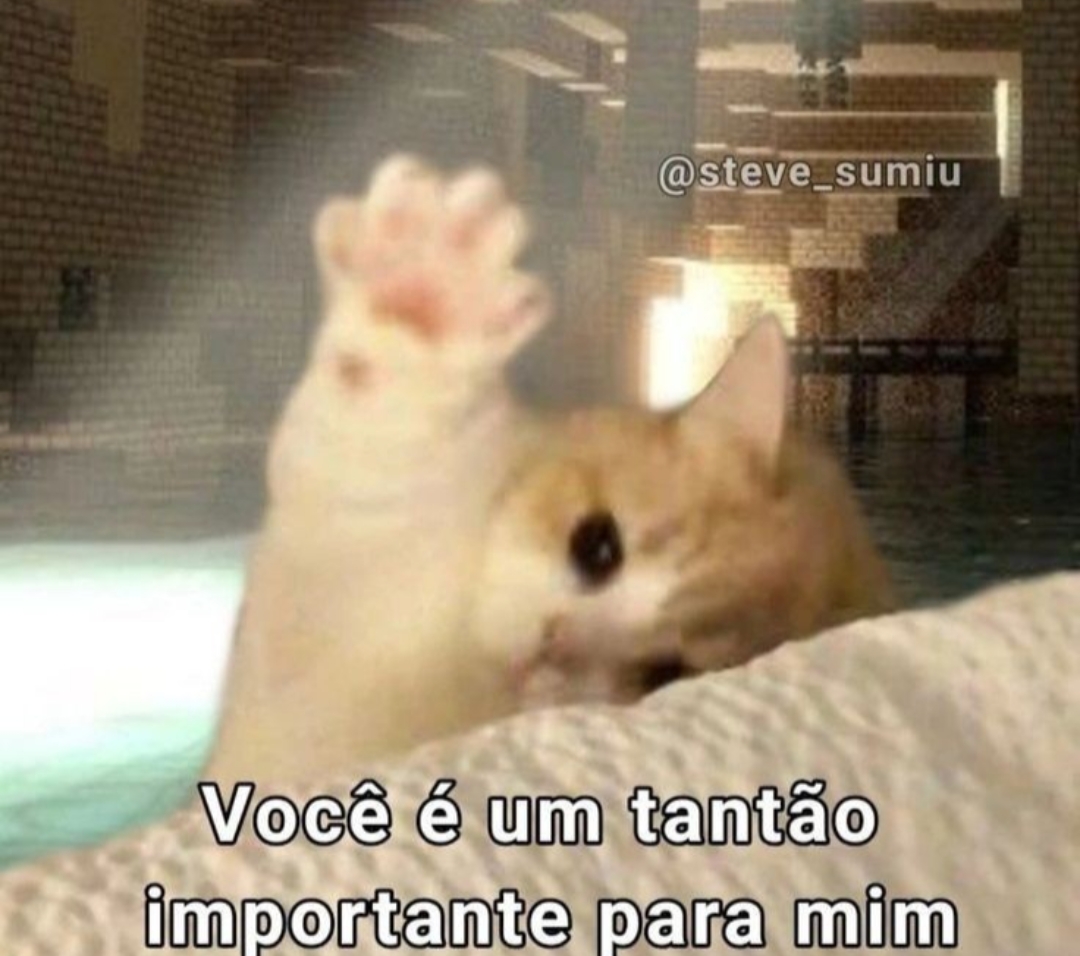 não é modelo!