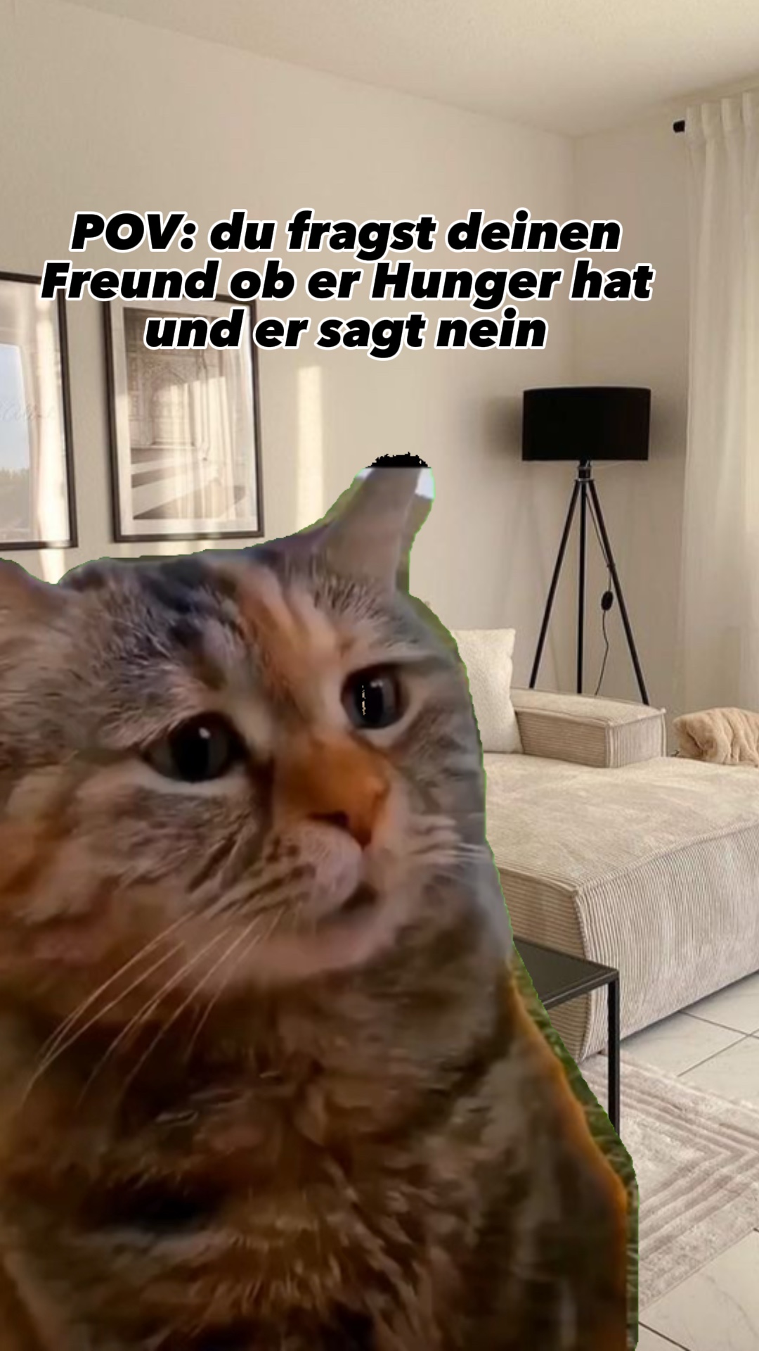 Meme Katze 🐈 