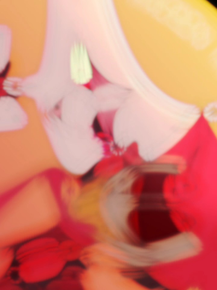 or ship ?