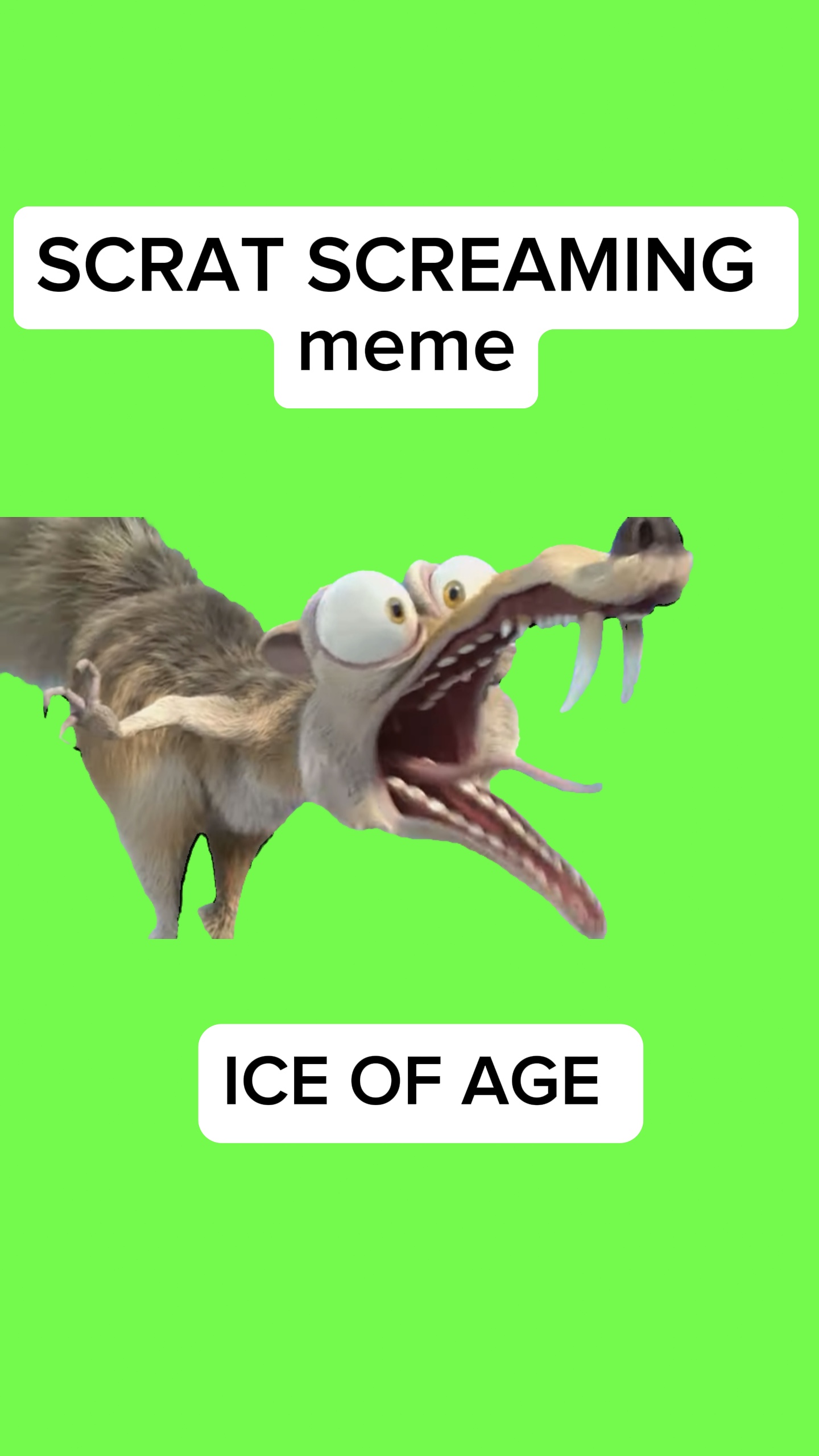 SCRAT SCREAMS meme