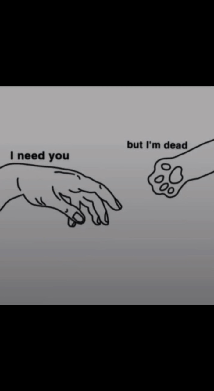 I will miss you