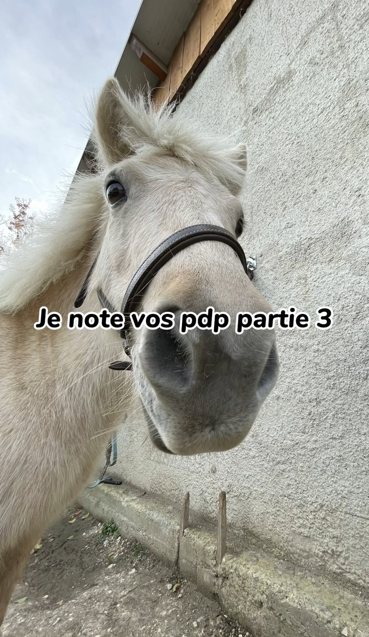 Dsl pour les fautes 