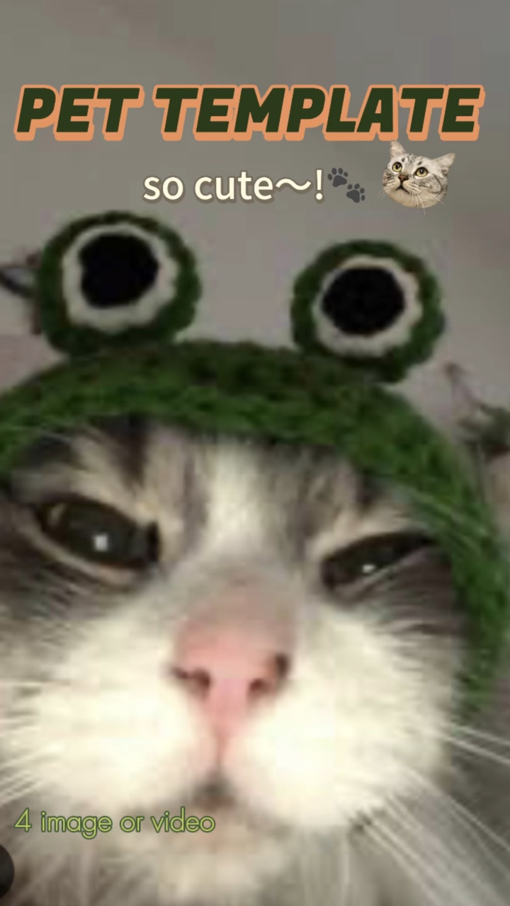Pet template 🐾