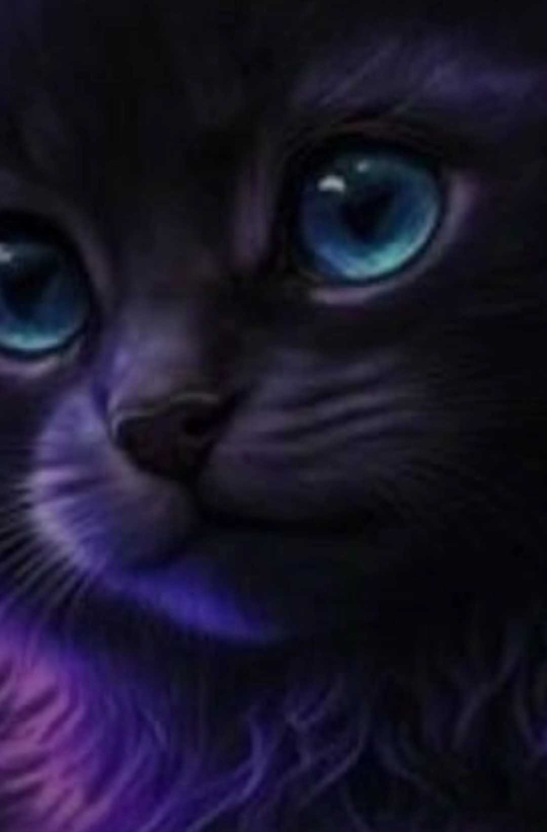 édit chat halloween 