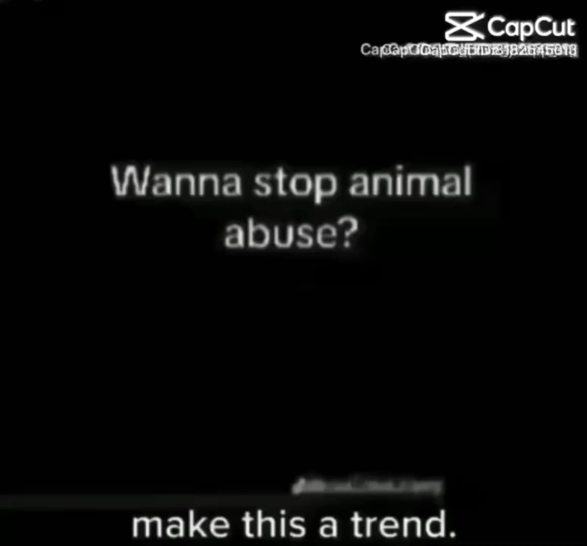 Make this a trend.