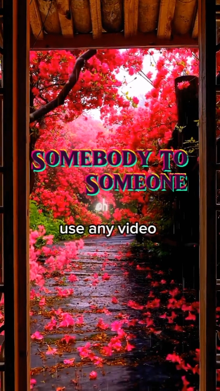 Somebody to Someone 