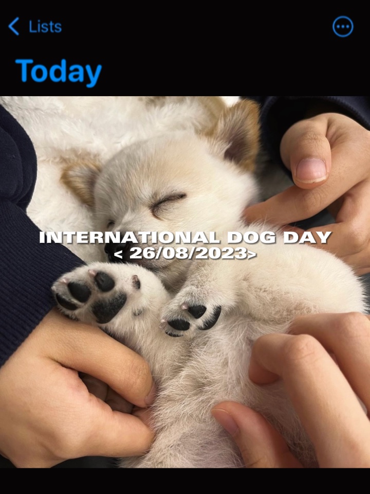 happy dog day 🐶