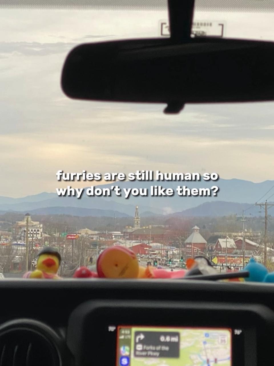 i hate furries