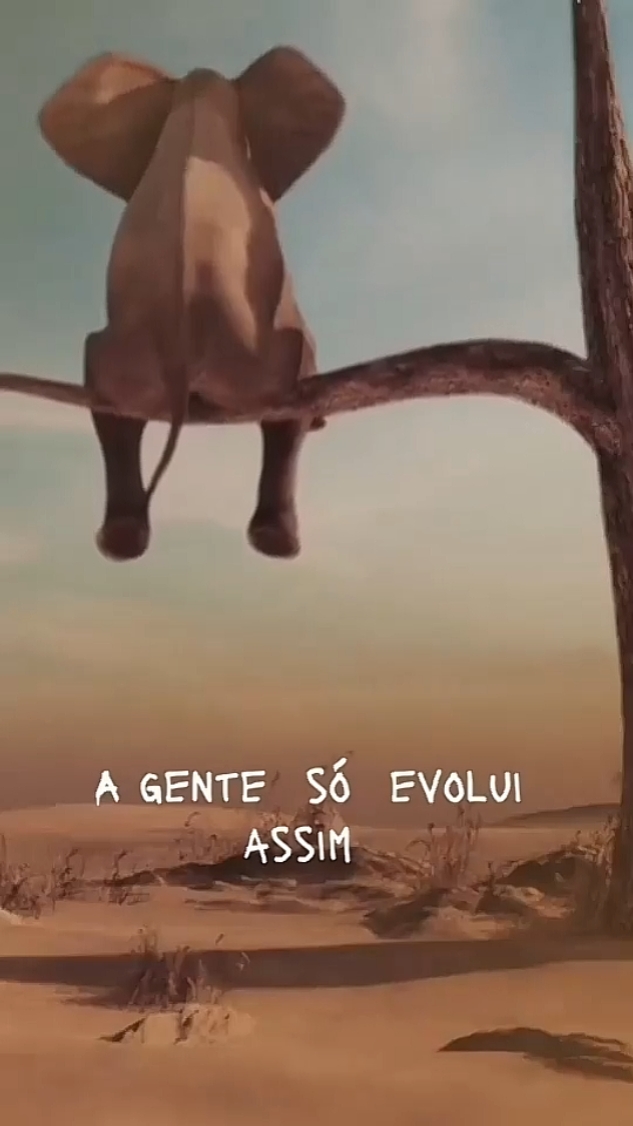 Reflexão e Motivação