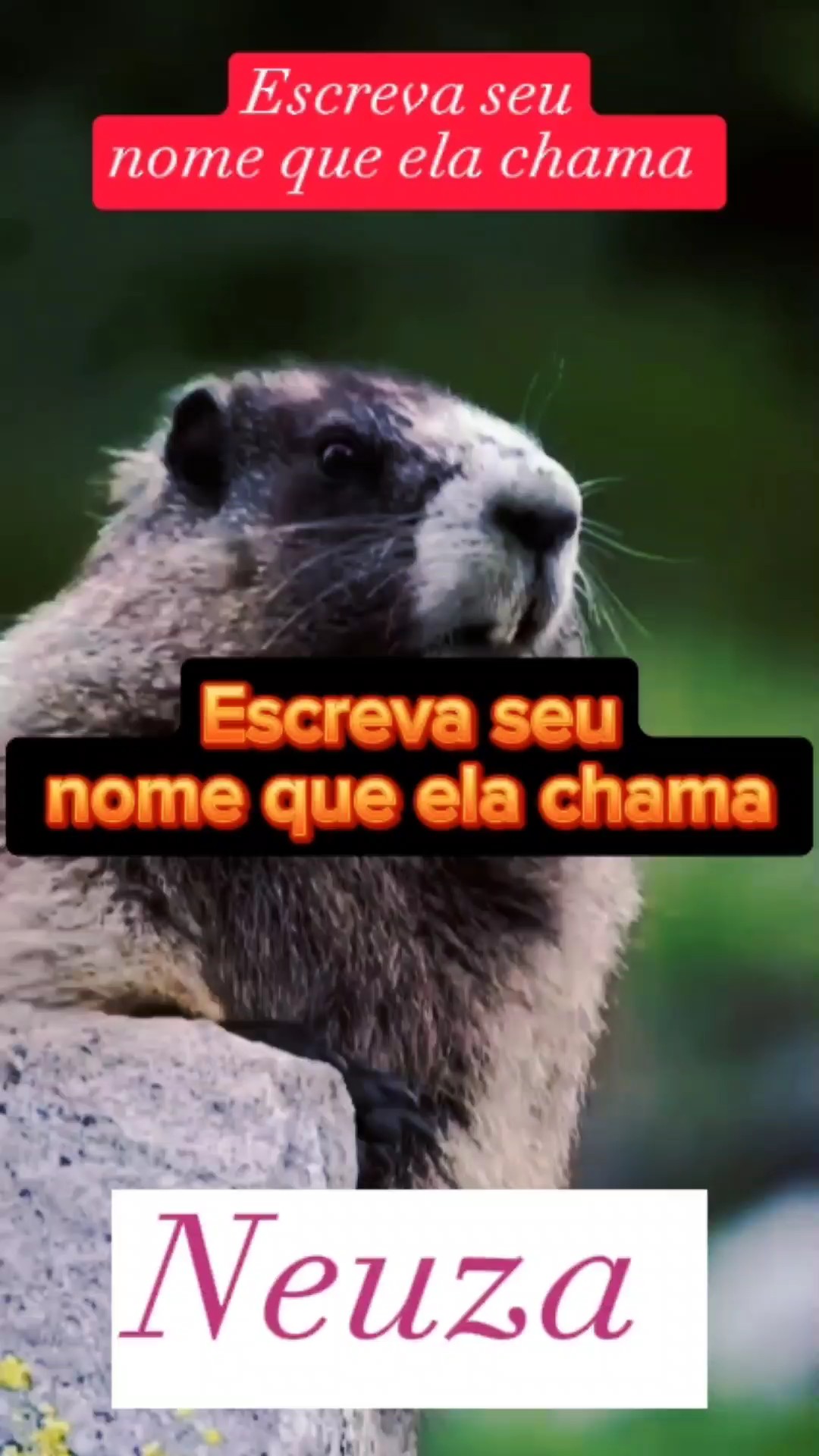 Escreva Seu nome 