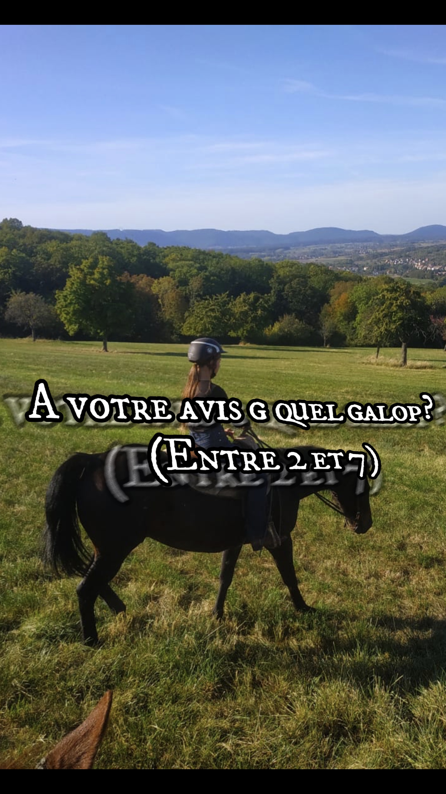 Quel galop ?