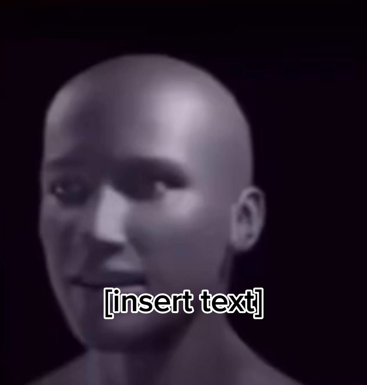 meme- insert text