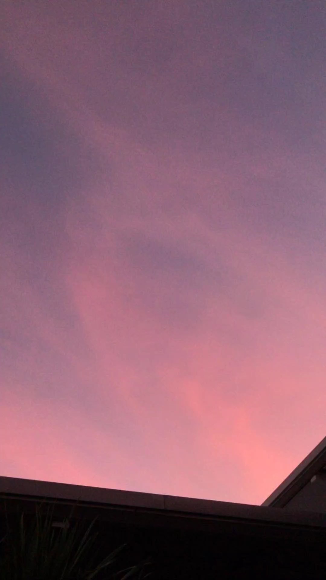 amo noite e dia