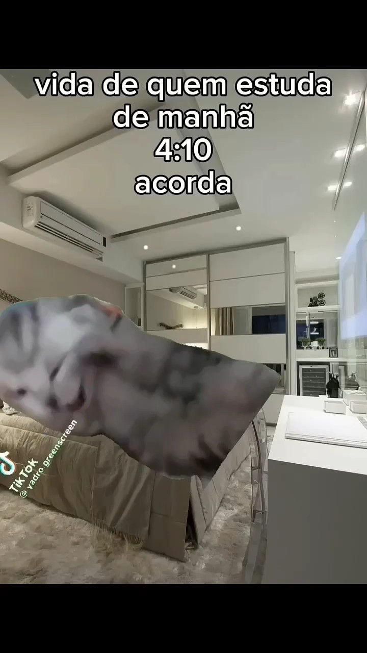 N é pov tbm kkkk