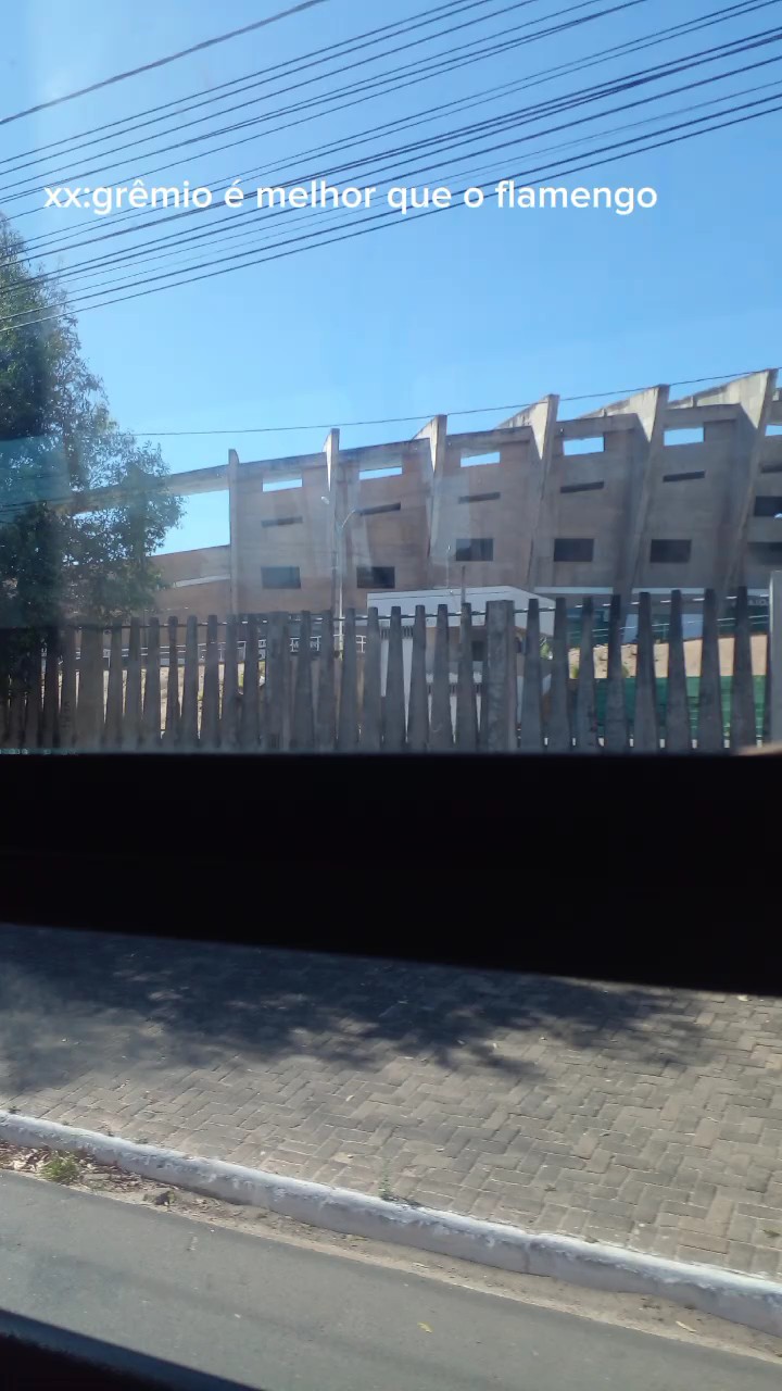 torcedores do grêmio