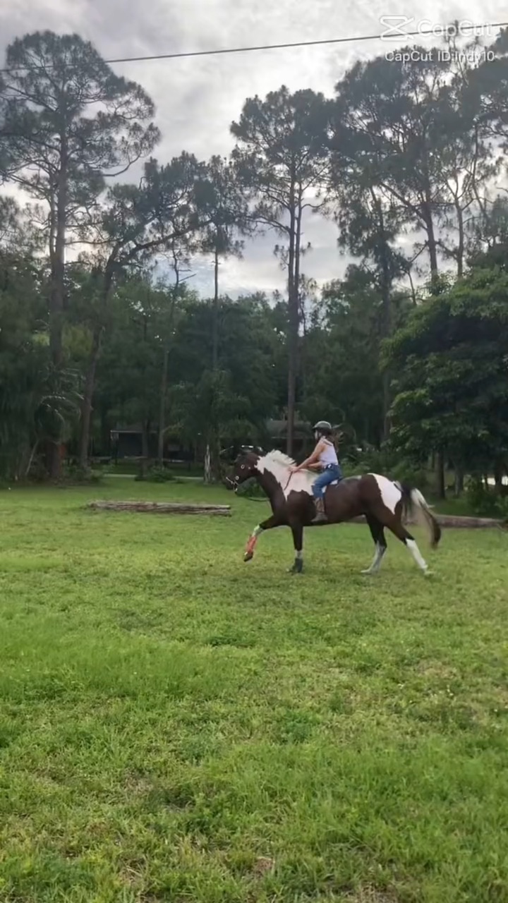 1st edit for comp!