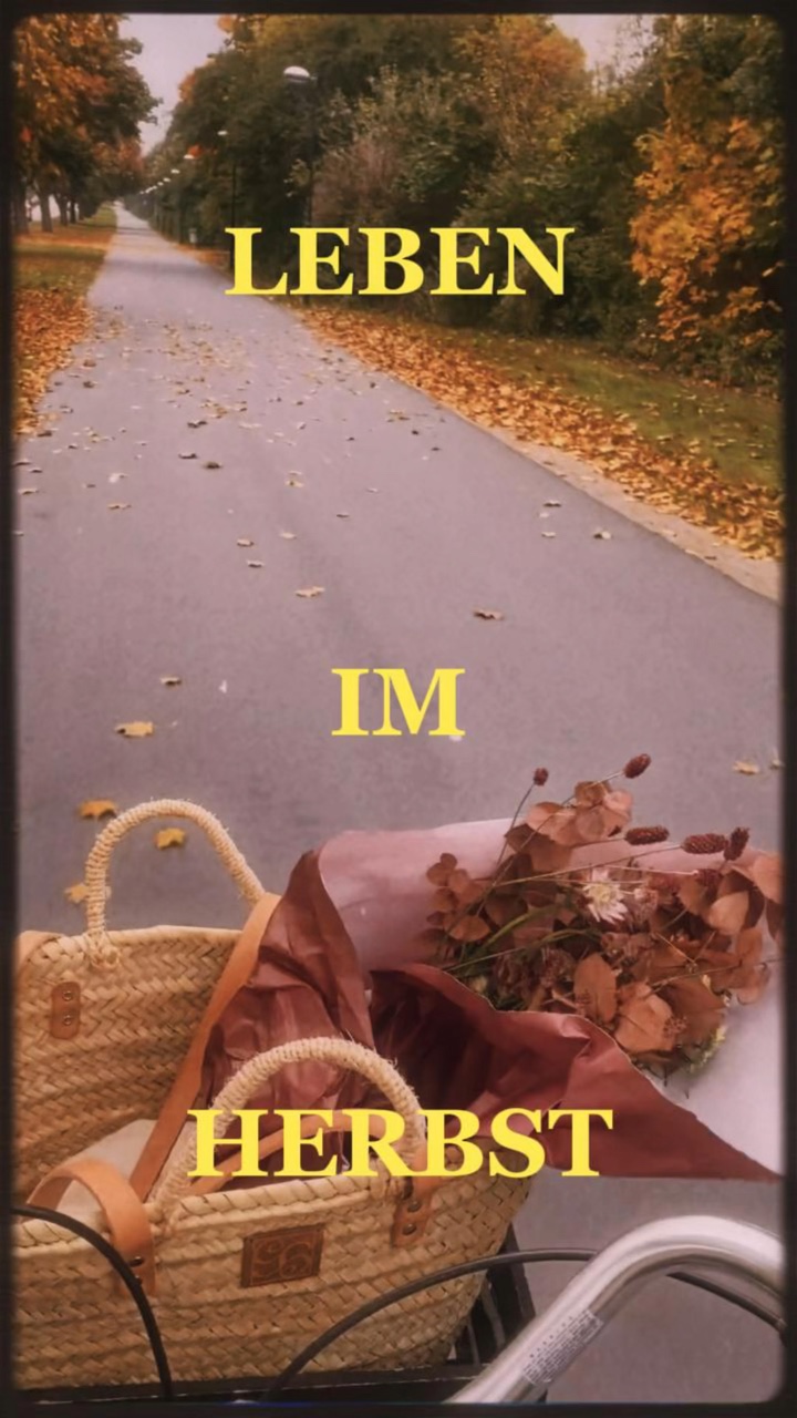 Leben im Herbst🍂