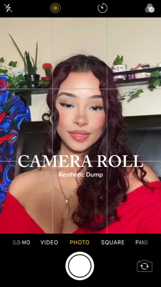 Camera Roll Dump.