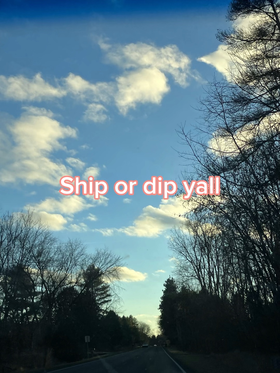 Ship or dip 