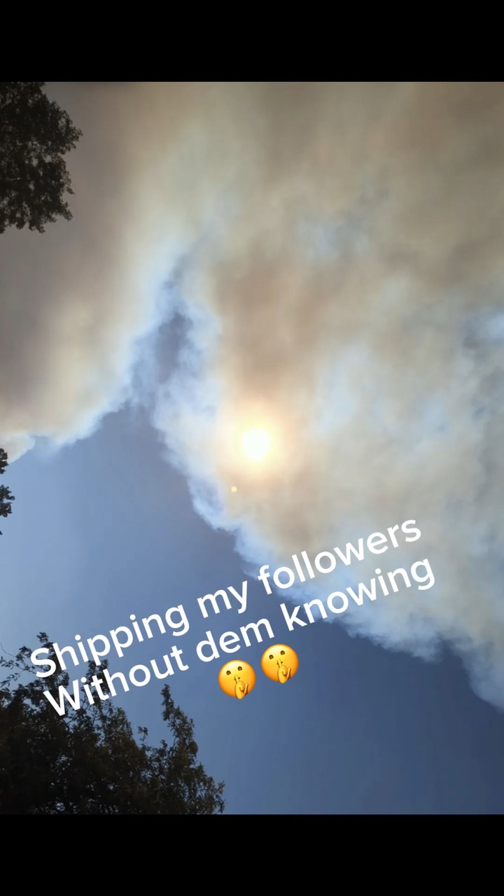 Ship or dip🦖👀