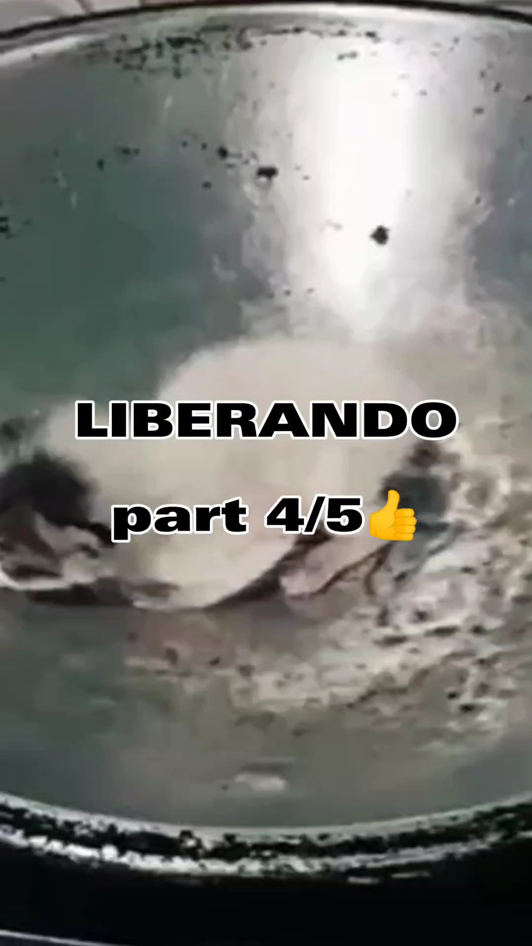 pt 4/5