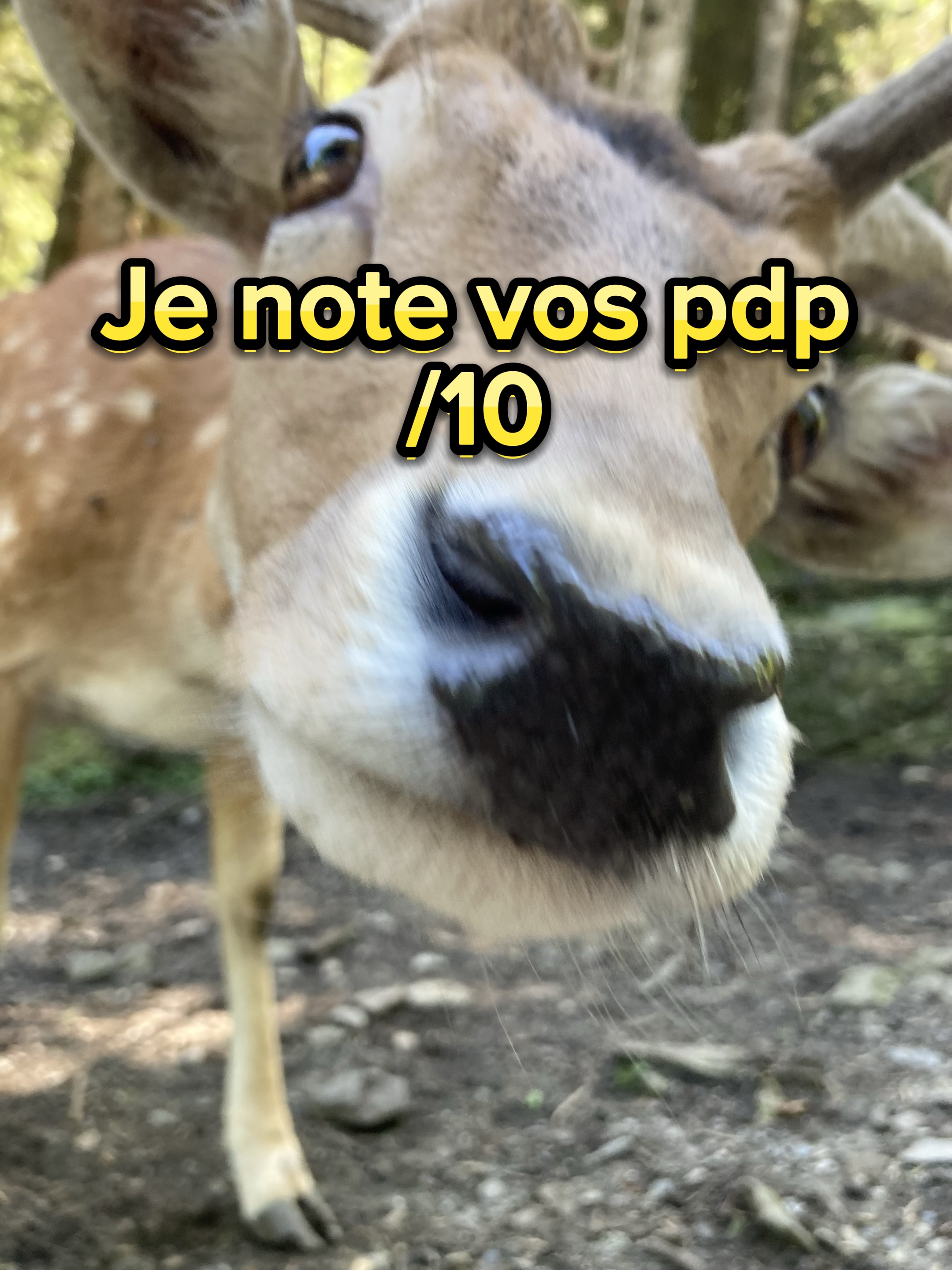 Je note vos pdp/10 😌