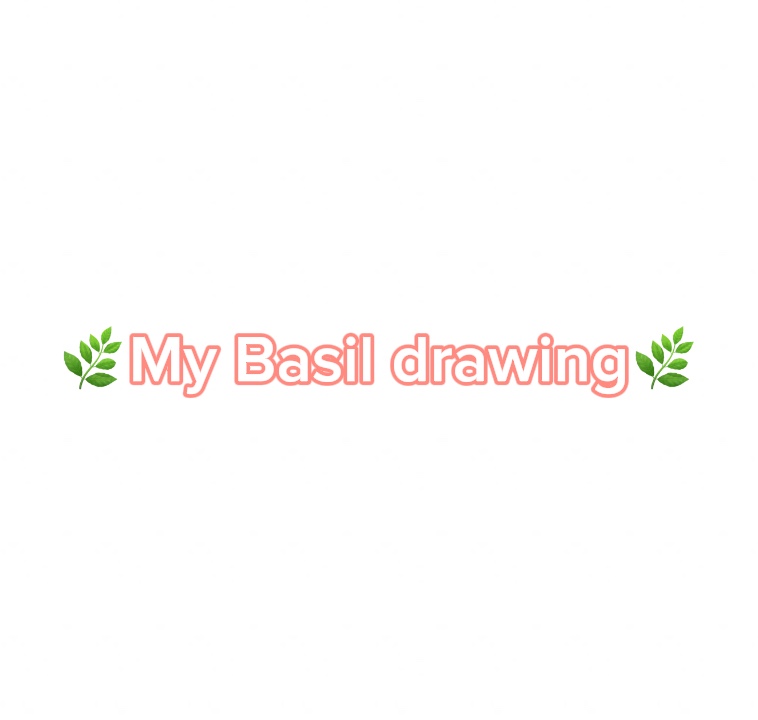 🌿My Basil drawing🌿