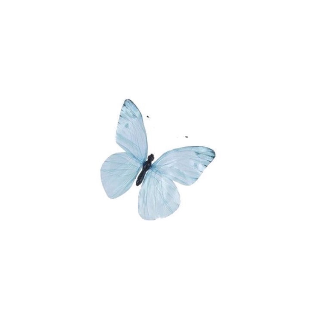 🦋 : o nome..