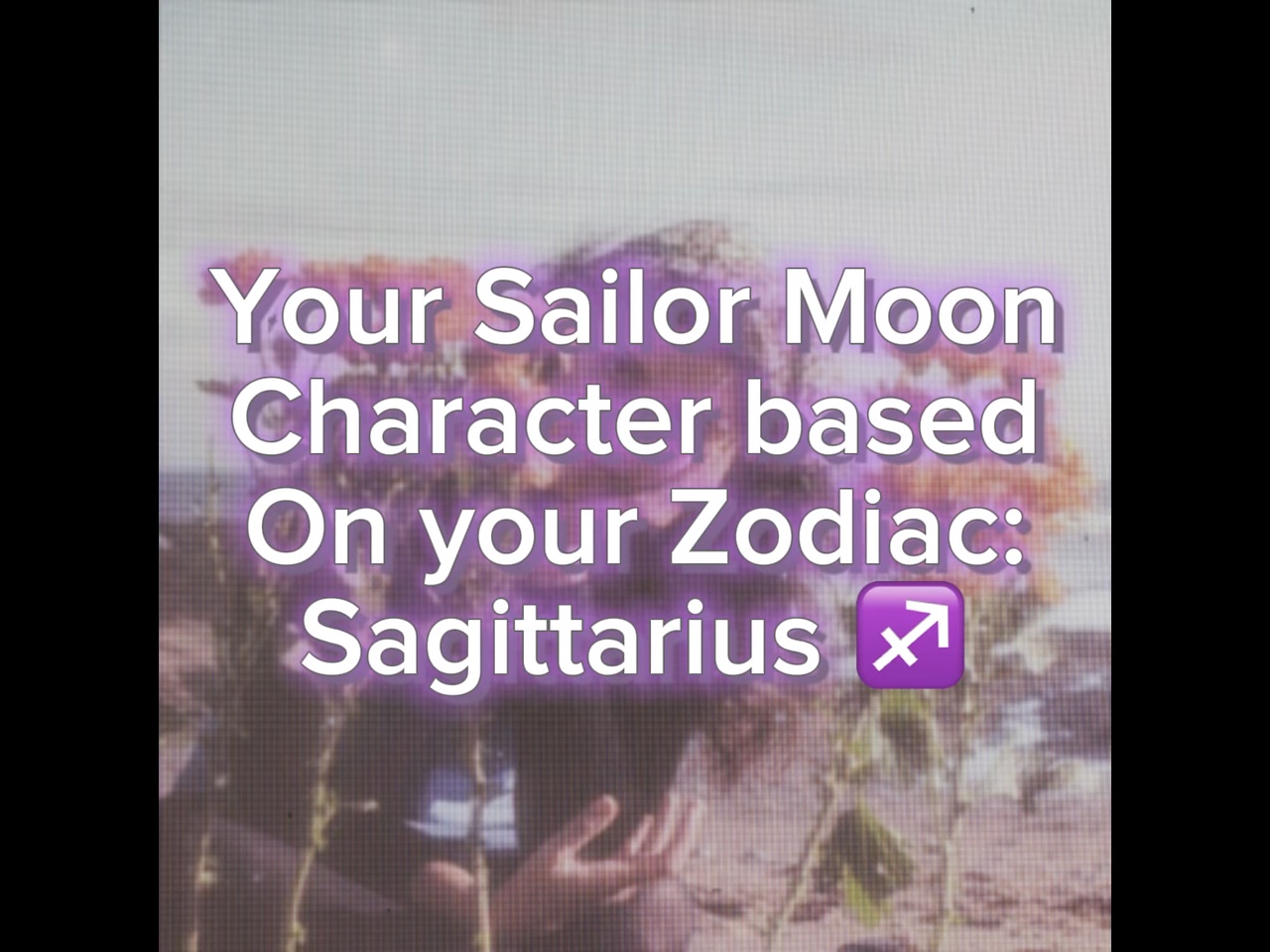 Your Sailor Zodiac 