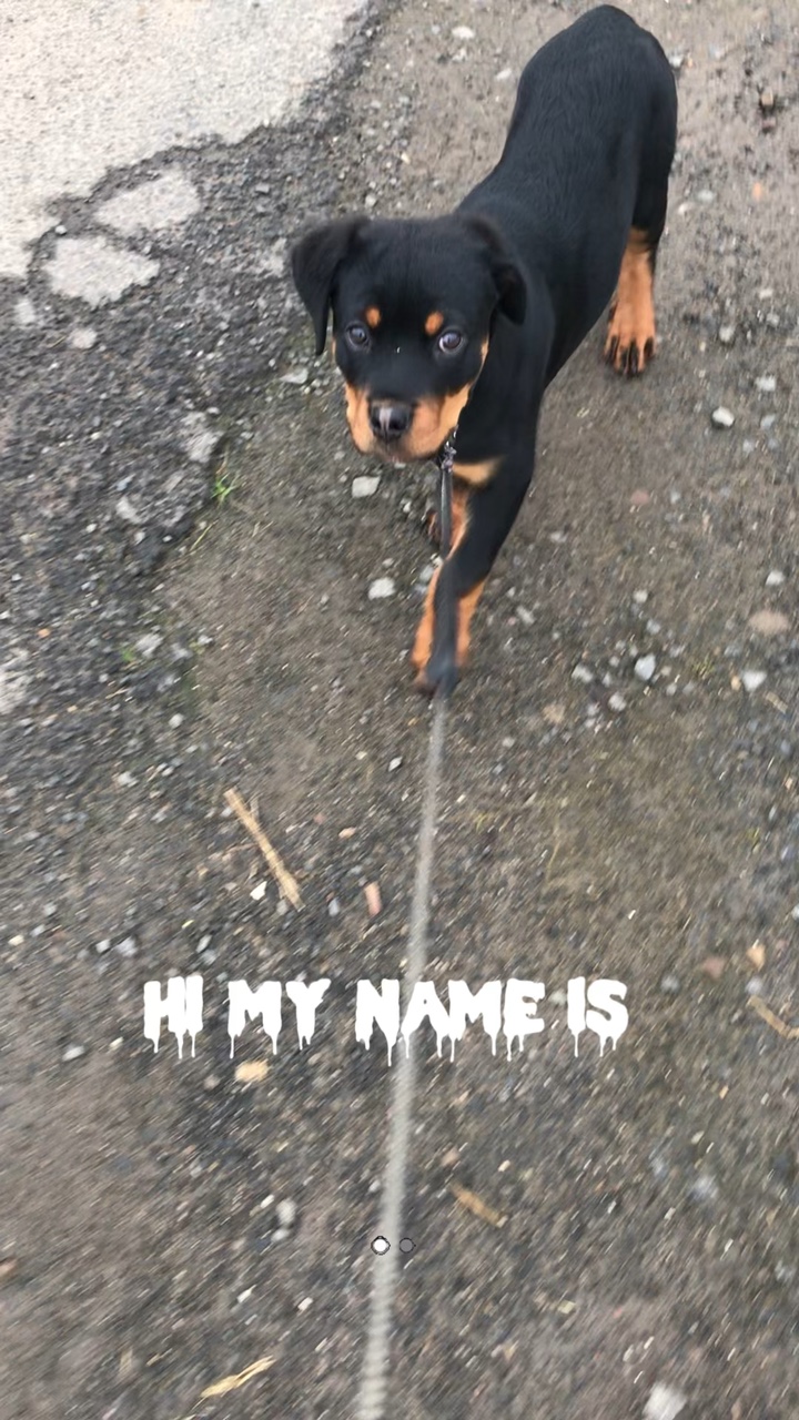 Hi my name is… 