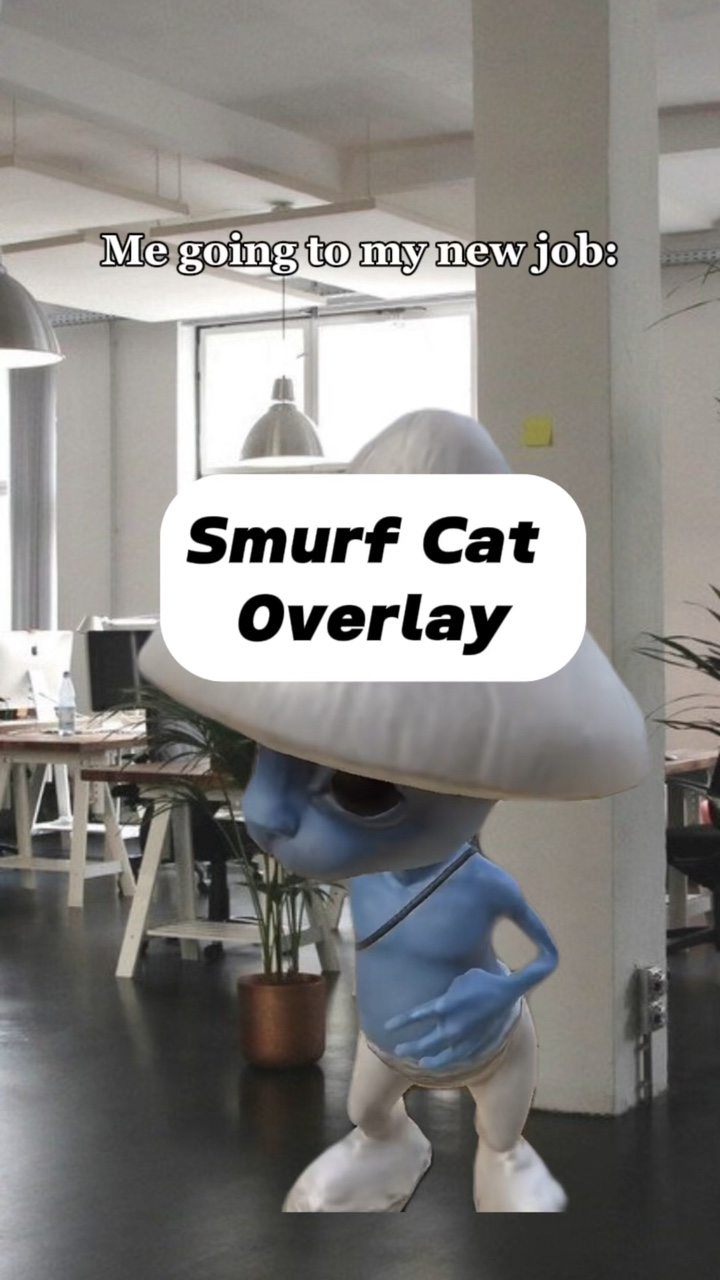 Smurf cat overlay