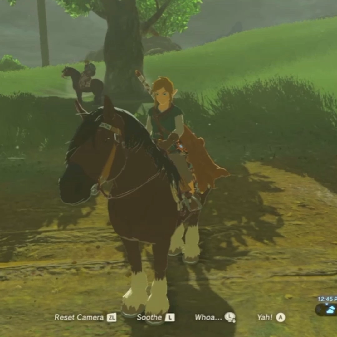 Zelda/ Lady jumping