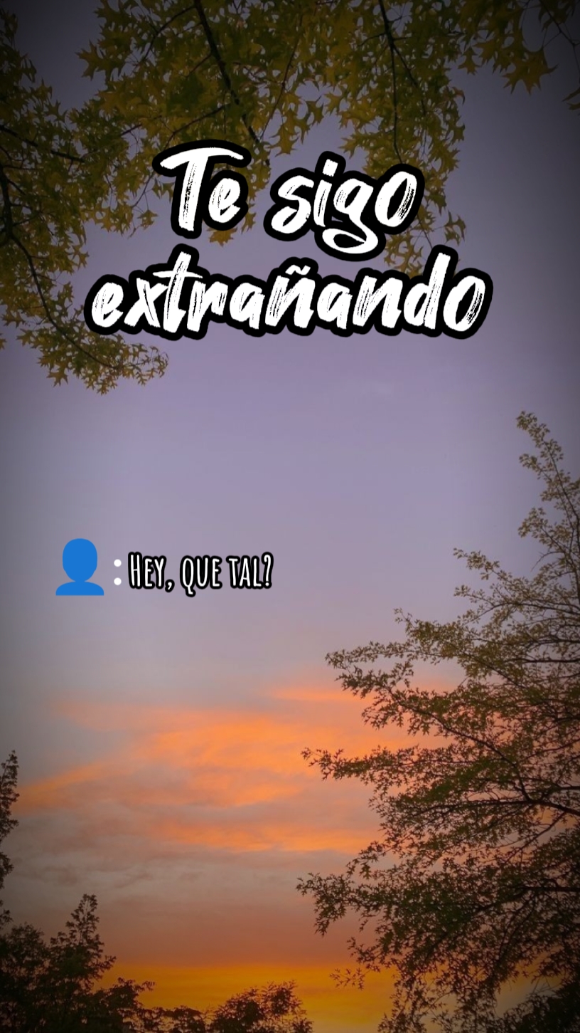 Te sigo amando