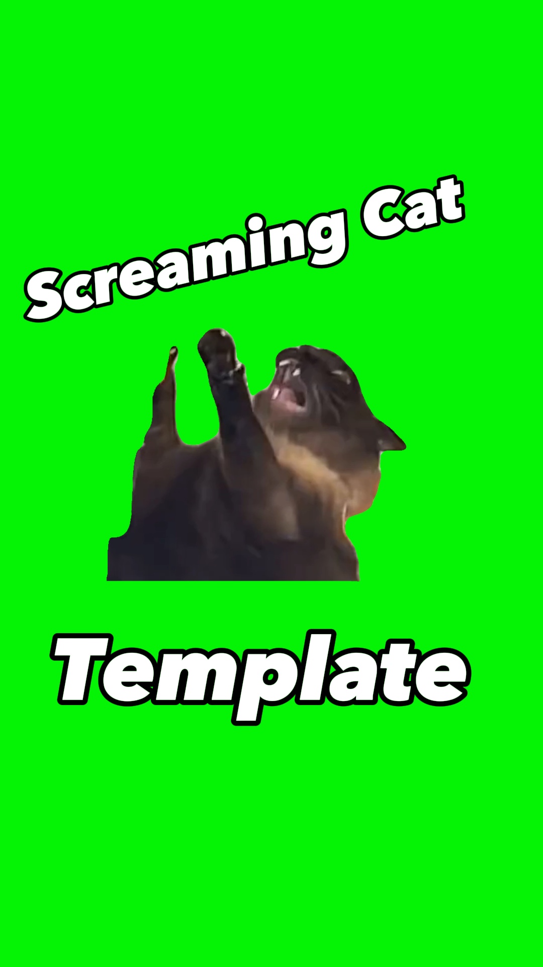Screaming Cat Meme
